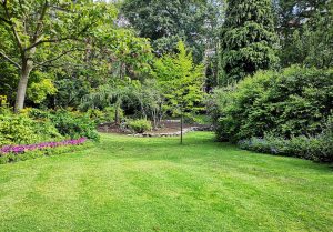 Optimiser l'expérience du jardin à Bois-les-Pargny